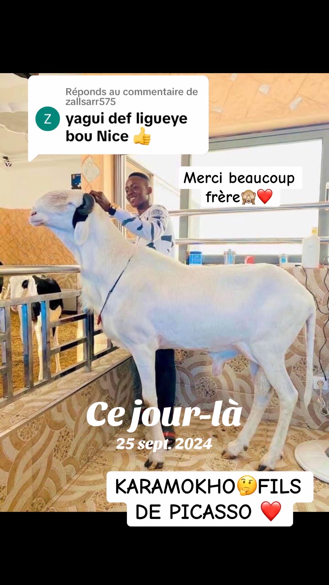 @galass_eleveur