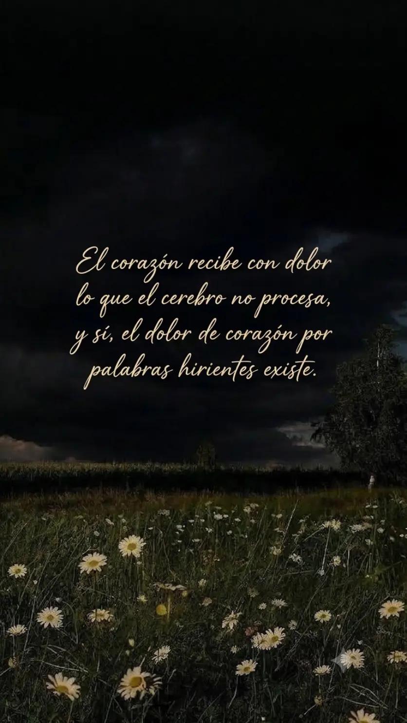 @ambicer98