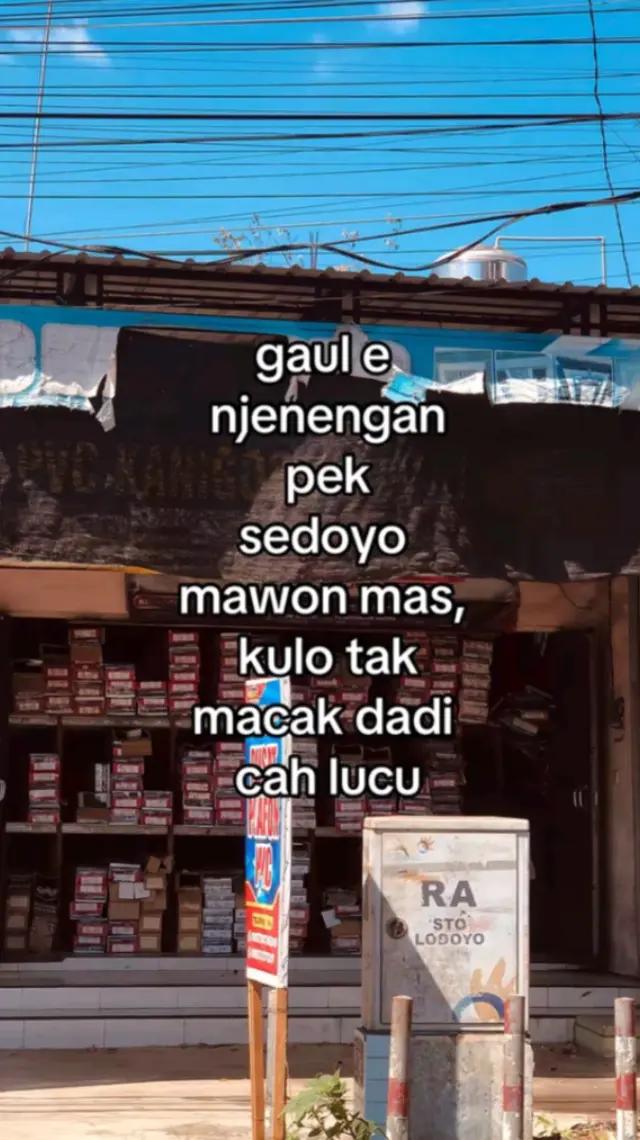 @rikotukul🐢