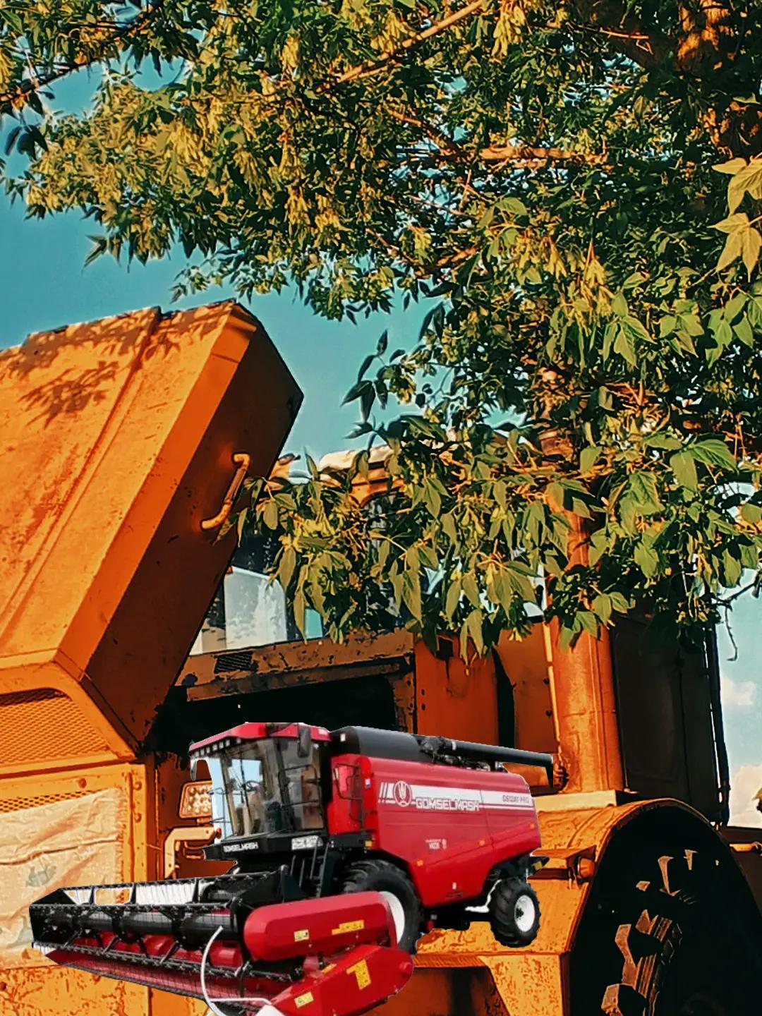 @килька
