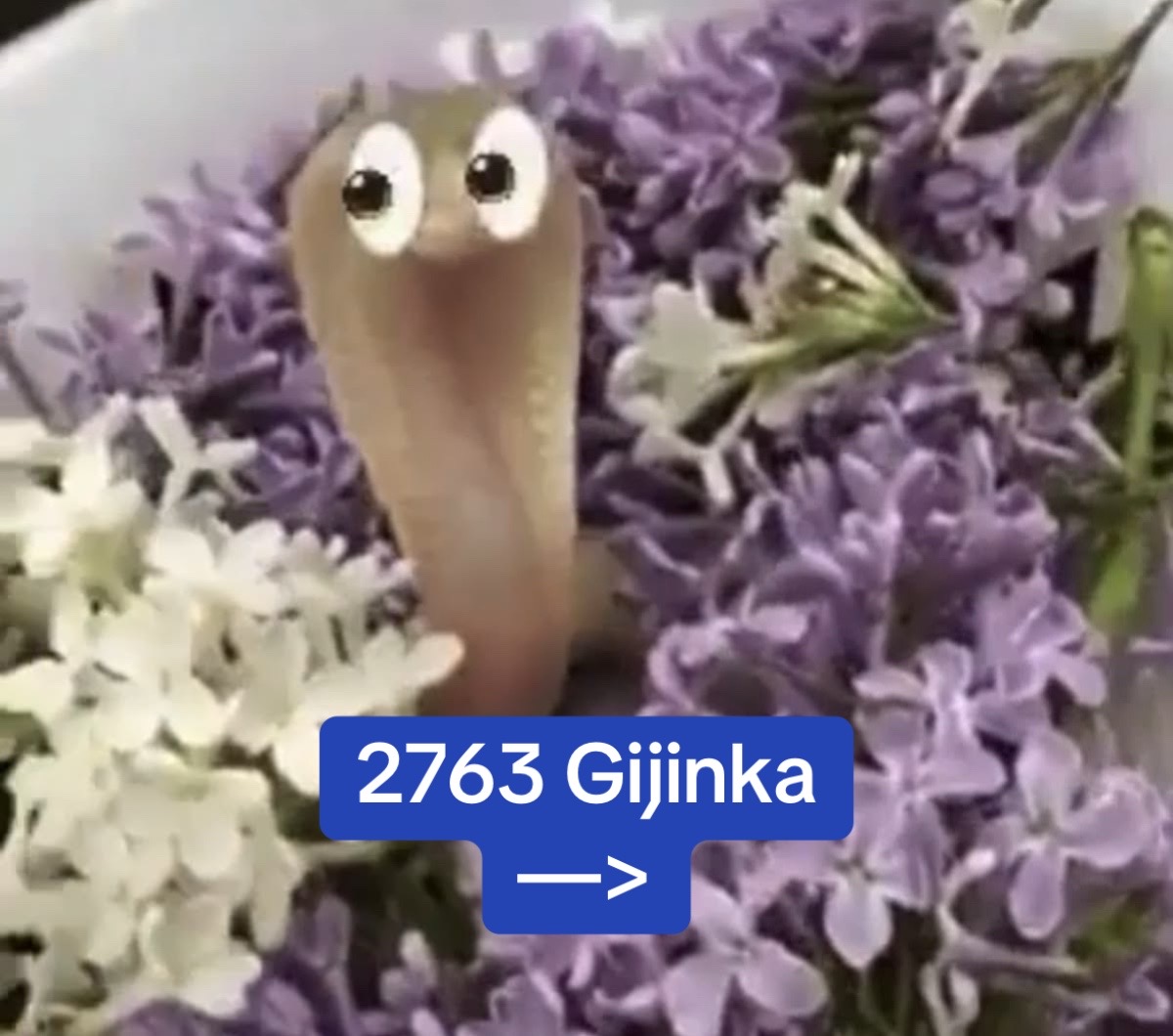 @๐๐ฆ•|โ
Goobโ
|•๐๐