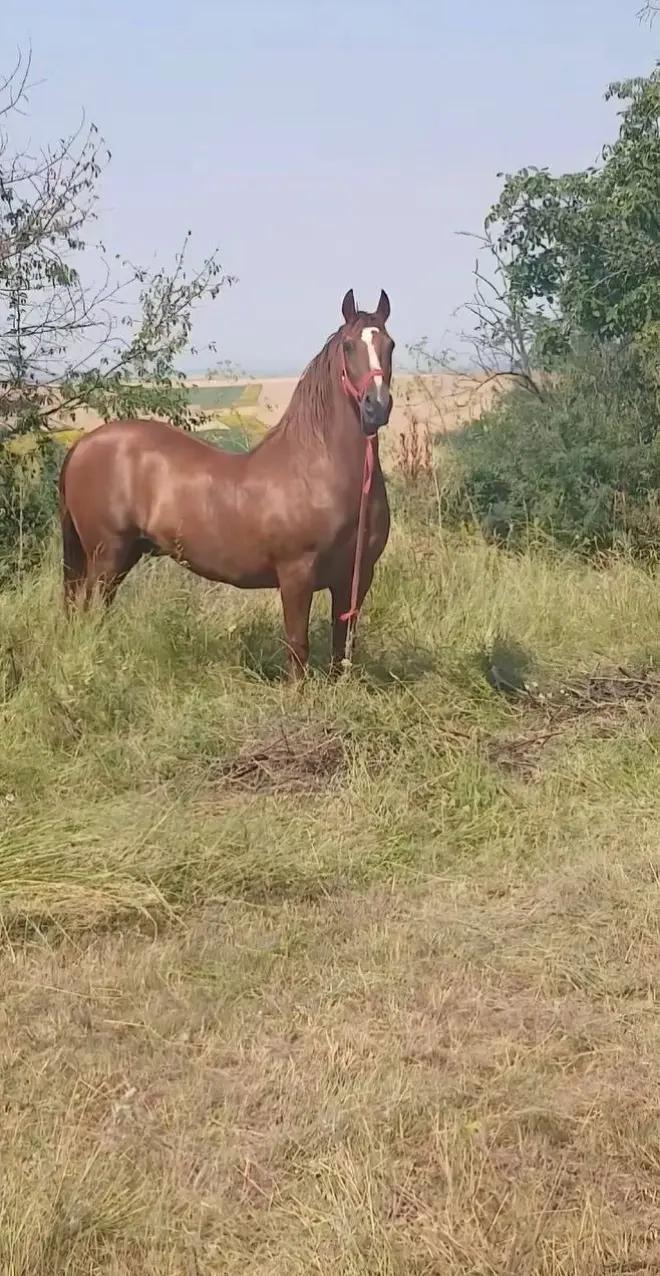 @Azizbek Mexliyev