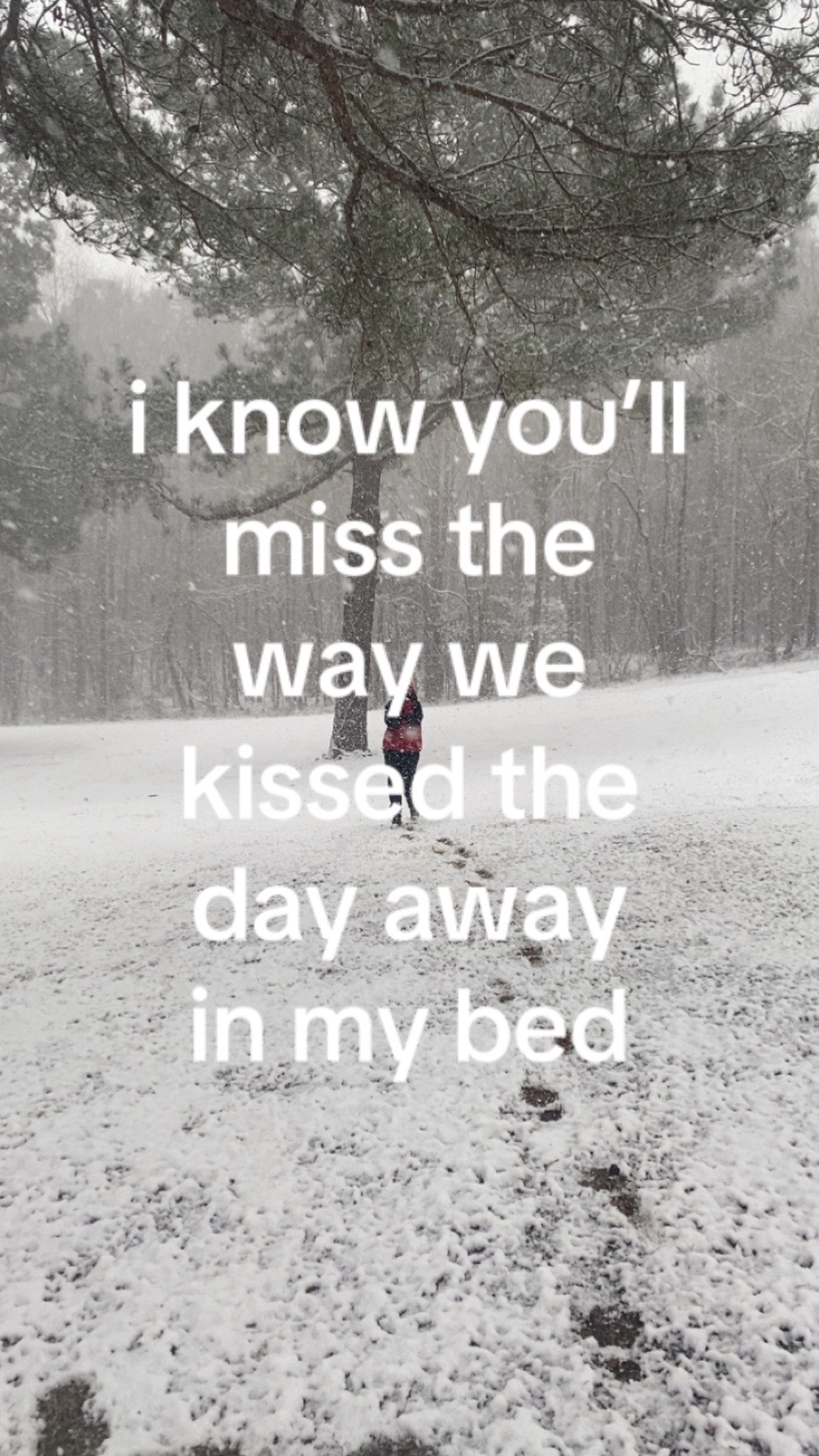 @alyssa🪷