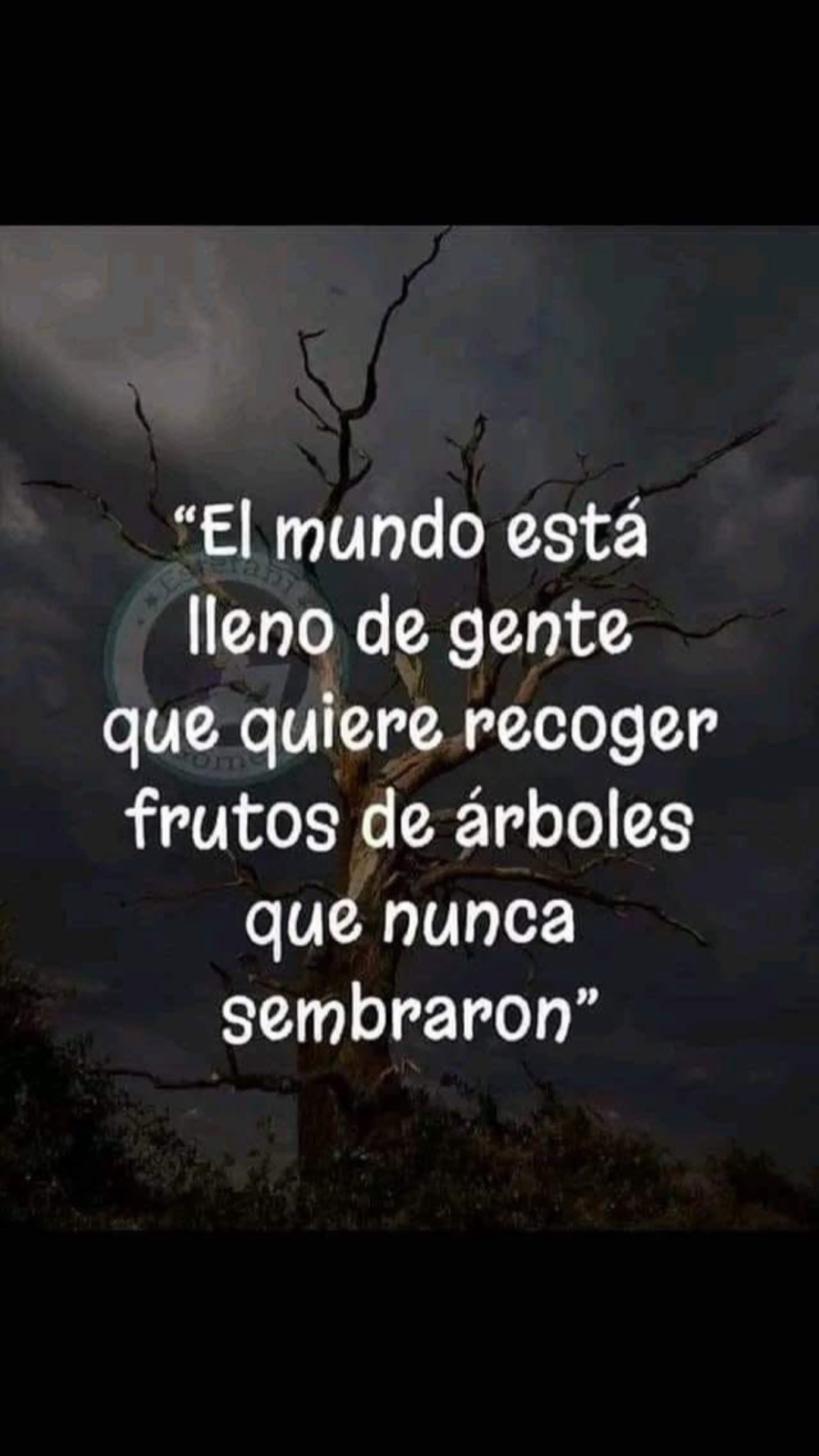 @Irain@21