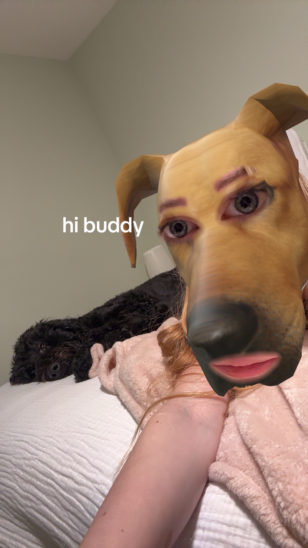 @nordog