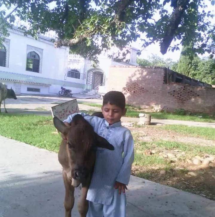 @🇮🇹🌟گجر.. بادشاہ🇵🇰