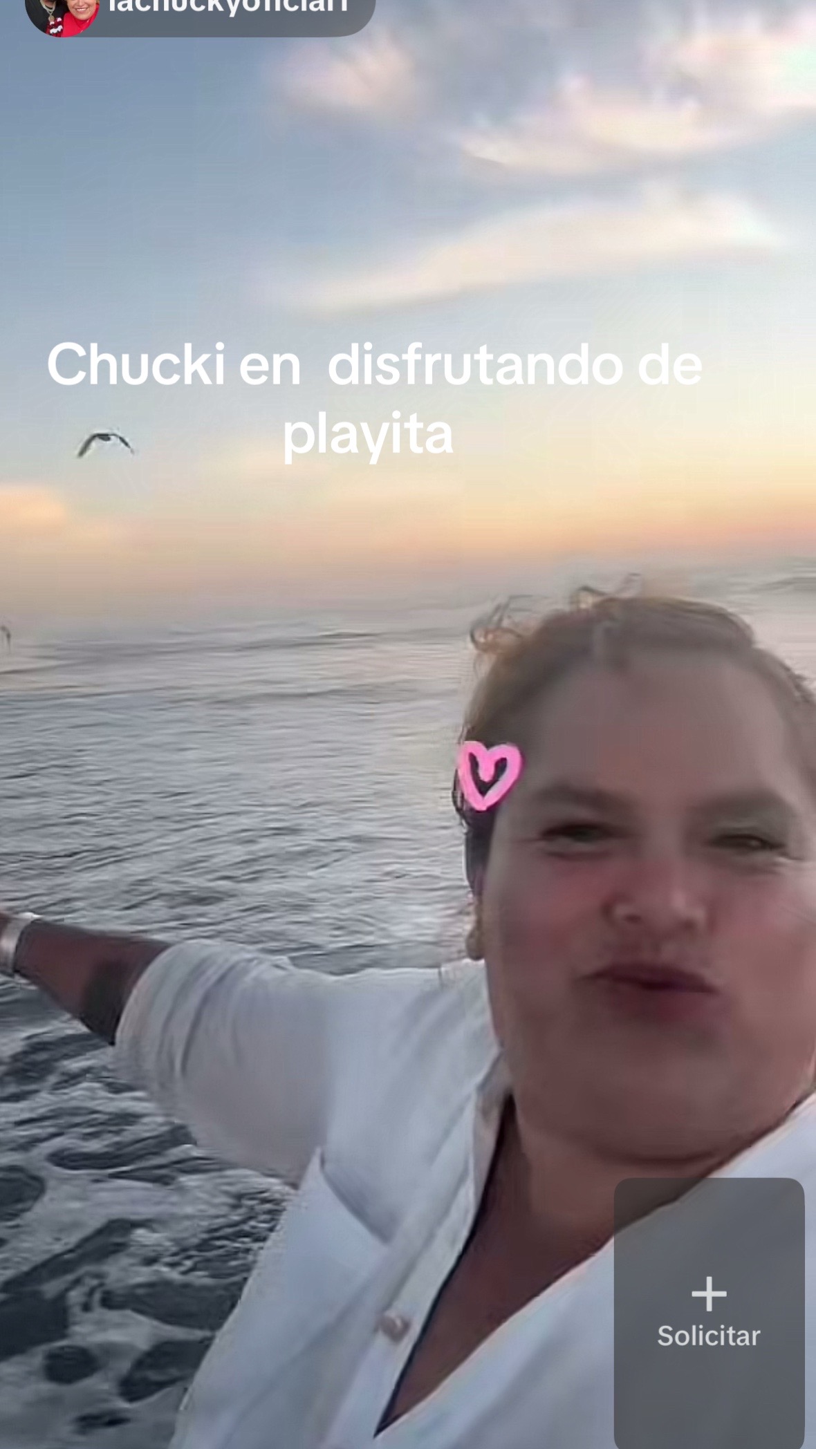 @🐢Guerita🕷️🕸️🐢🦂🦐🦁⚓️🎺