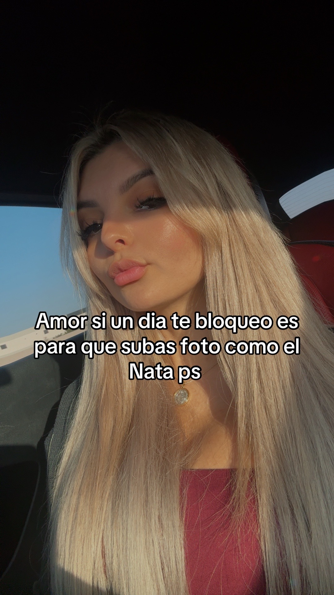 @ilce 🦁