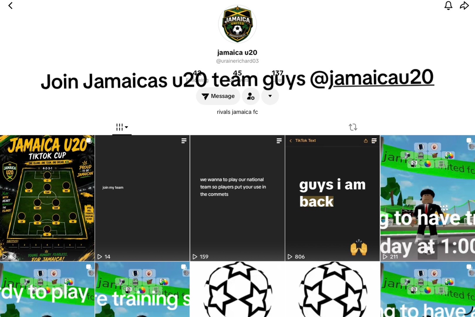 @Jamaica Team (Brookhaven)