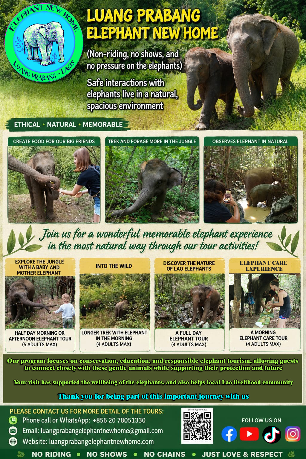 @LuangPrabang Elephant New Home
