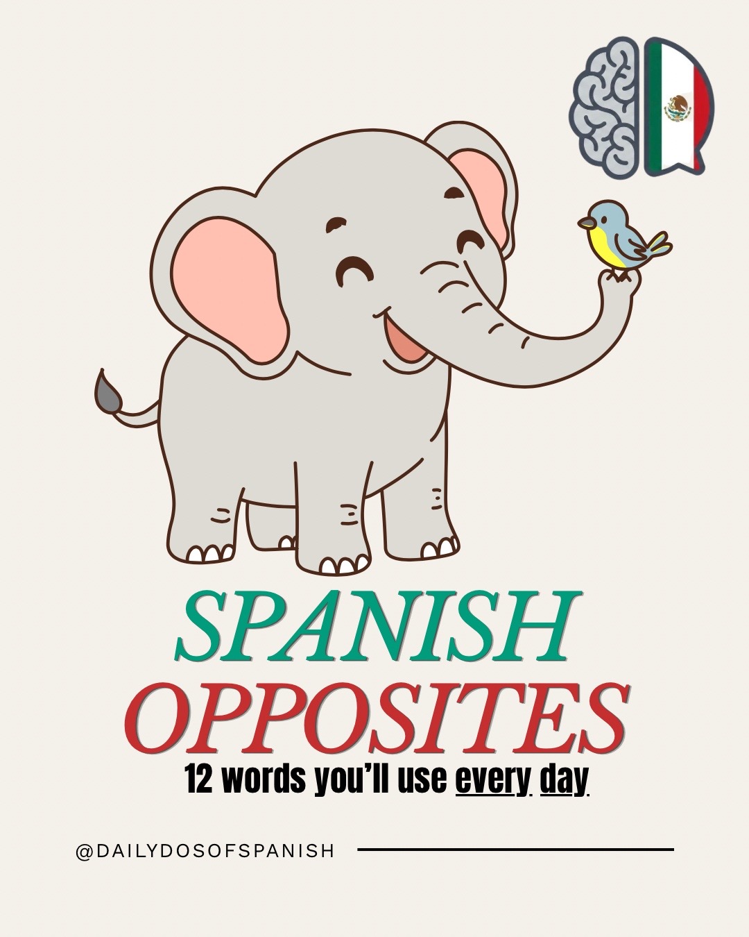 @Jessica | Spanish Teacher