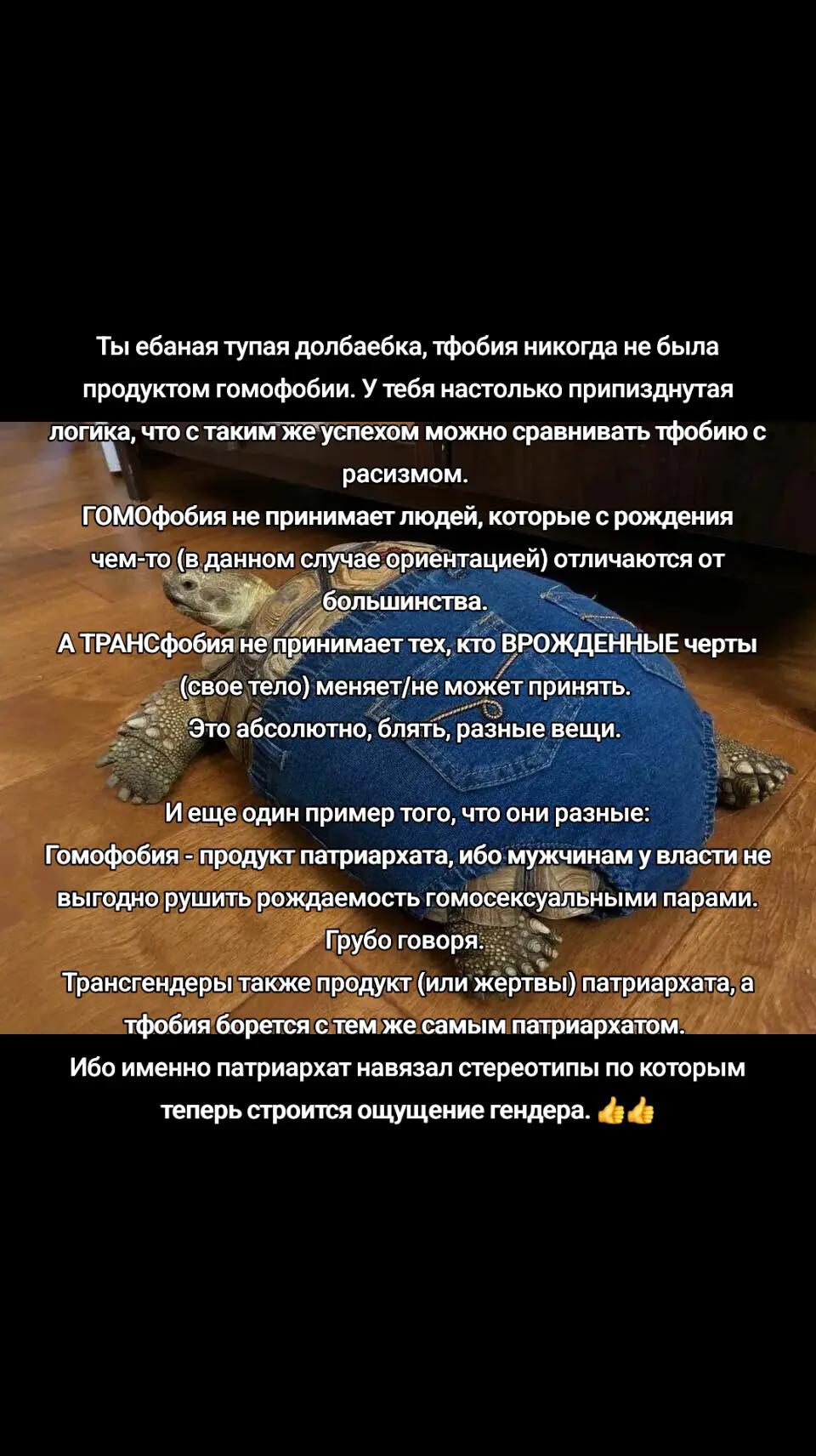 @fistachio