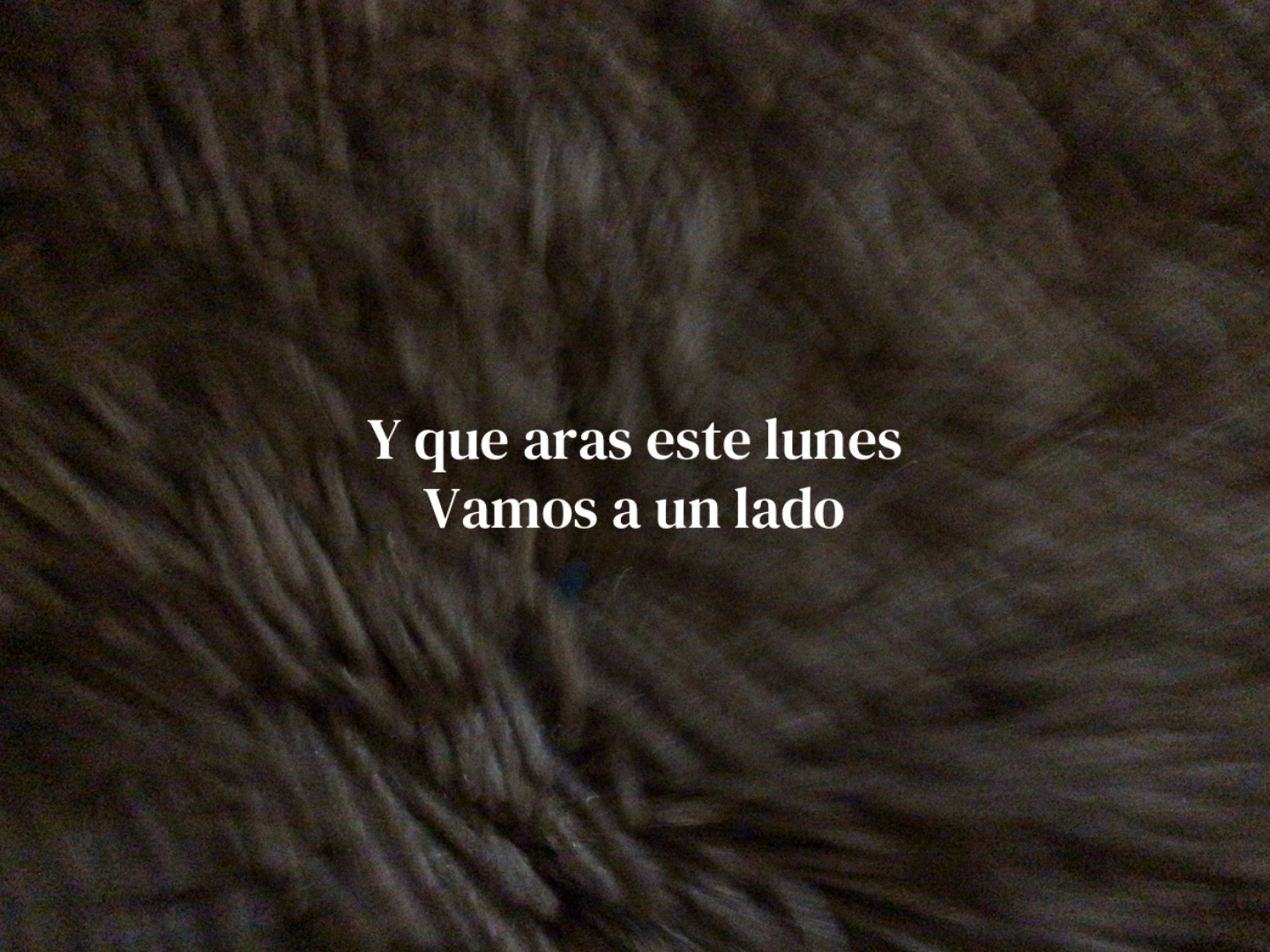 @Cami💜🤞🏻😊🤌🏻