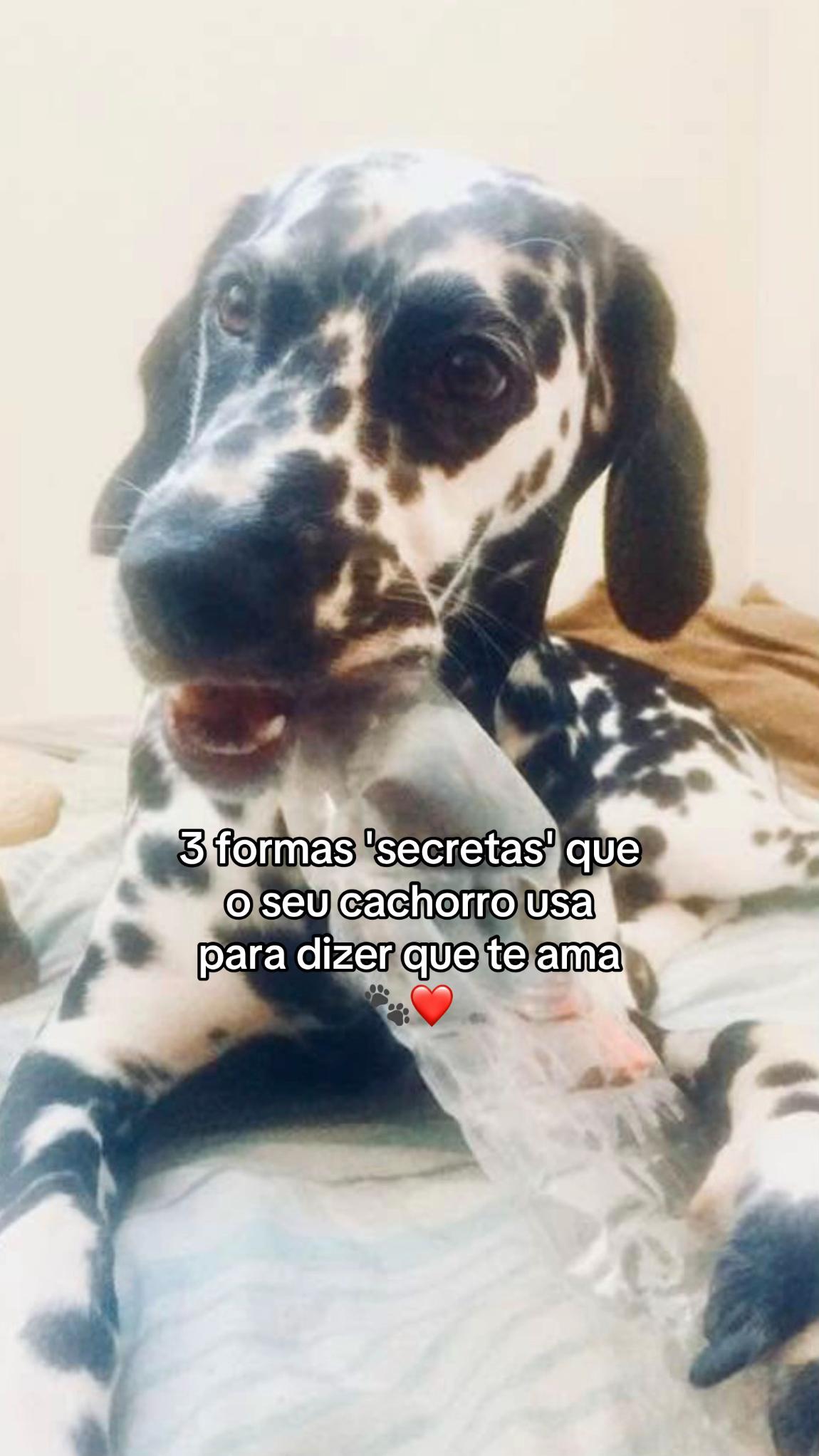 @Margô e Jude