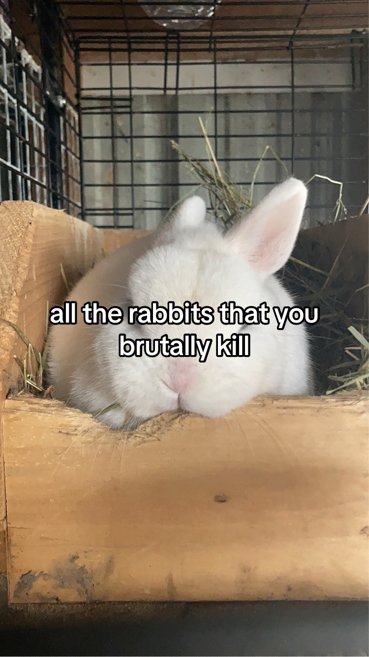 @Skilow