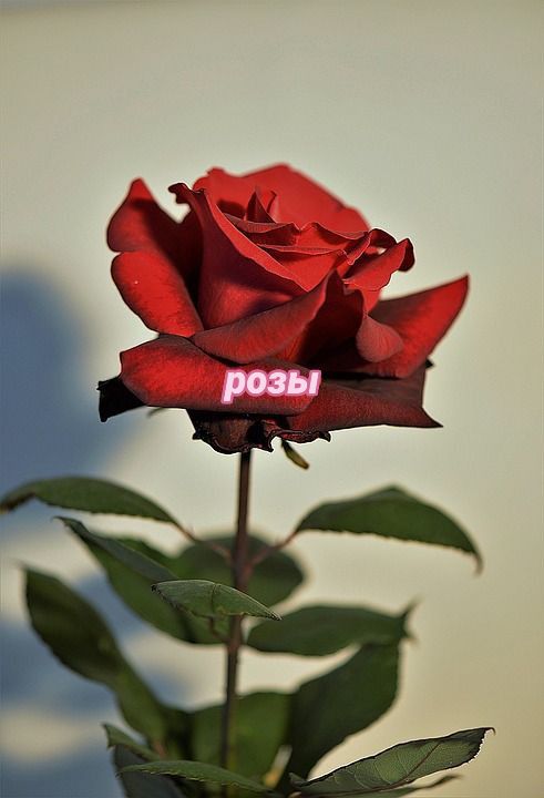@<3
