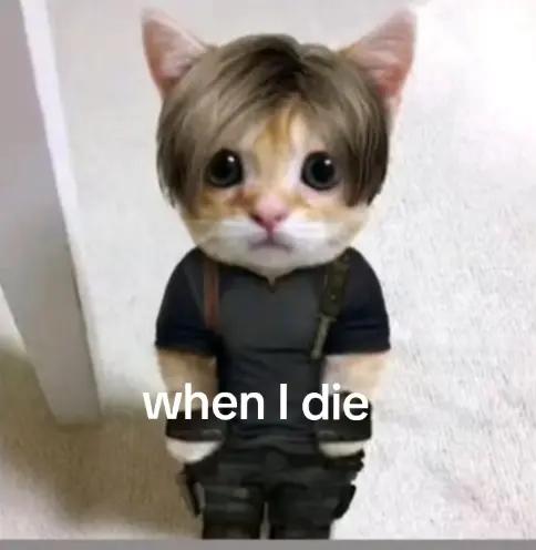 @:kami