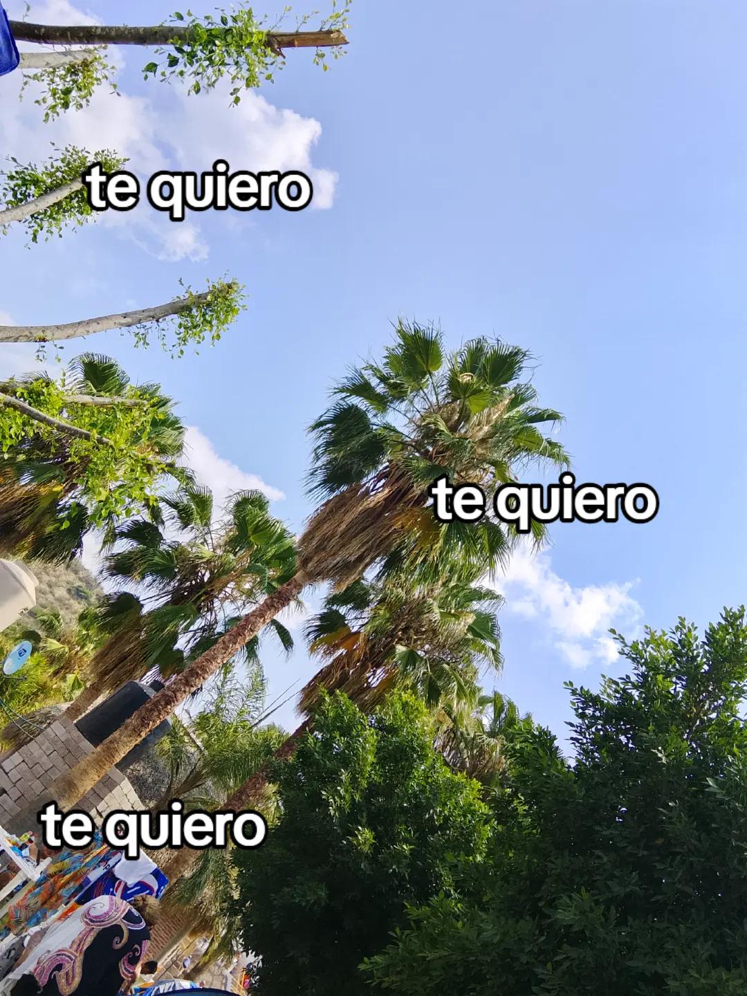 @𝓡𝓮𝔂𝓮𝓼𝓼𝓼♕