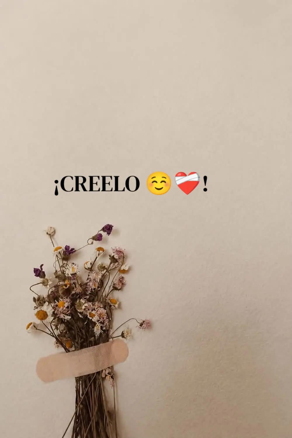 @🦋ƑÃŘƑÃĹĹà βĹǗẸ ŘỖβ🩵