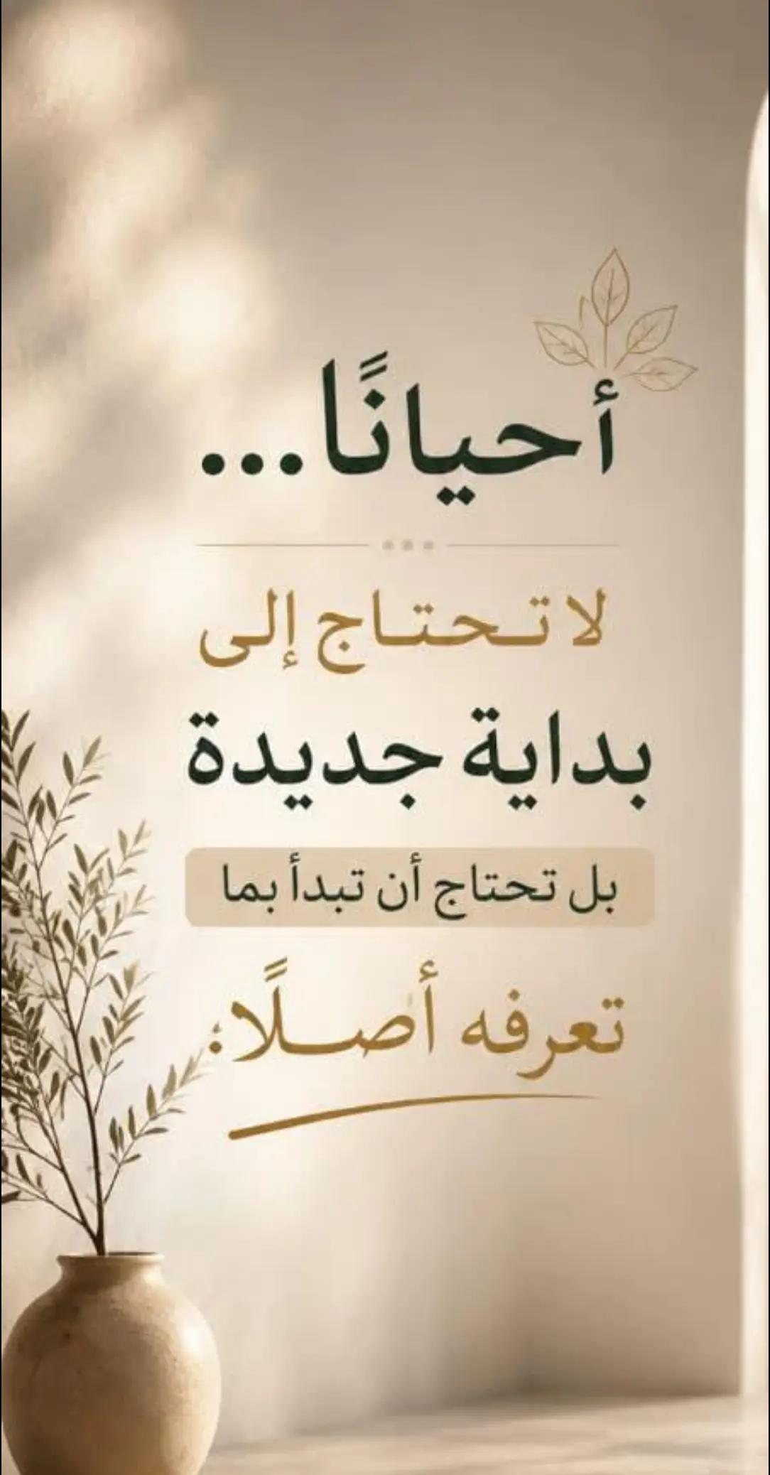 @✨️Doaa✨️