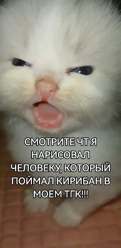 @Noyan