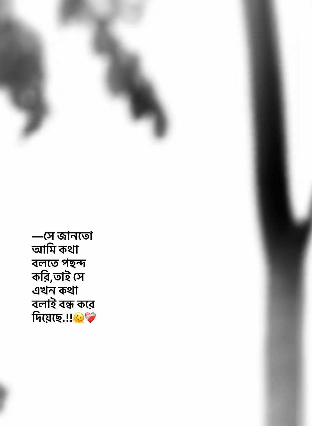 @⏳𝐒𝐡𝐚𝐝𝐨𝐰𝐗𝐞𝐧_ 🚩