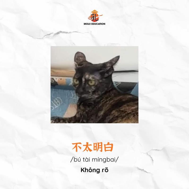 @一起学中文 👏🏻🫂