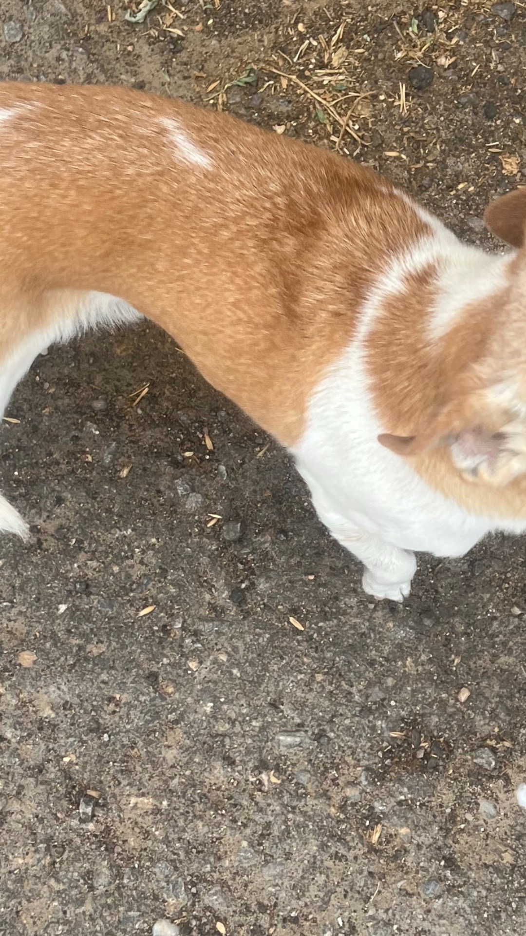 @EAHHHH🥛ꪔ̤̥