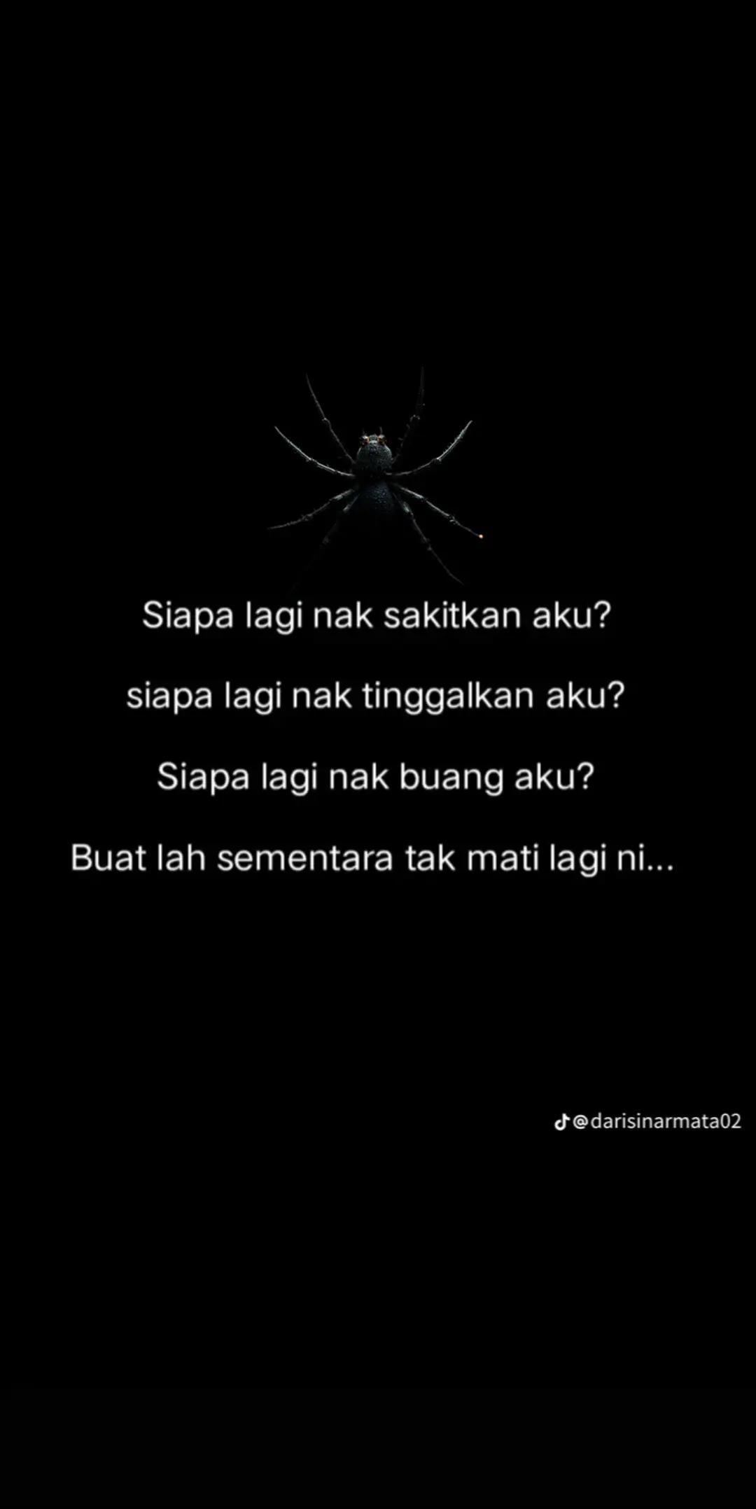 @Shida