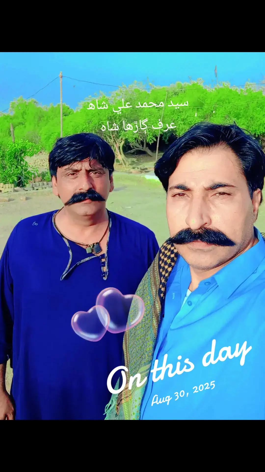 @Mir Jamali