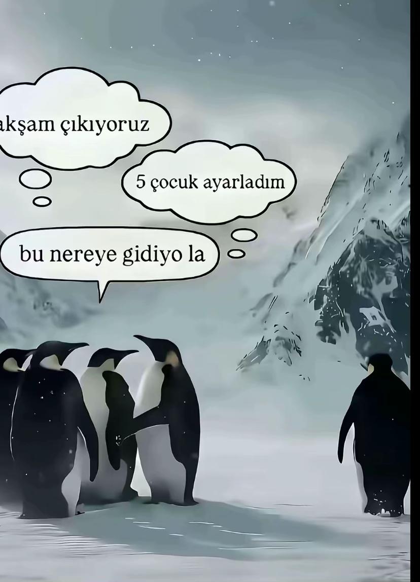 @lsinem06_