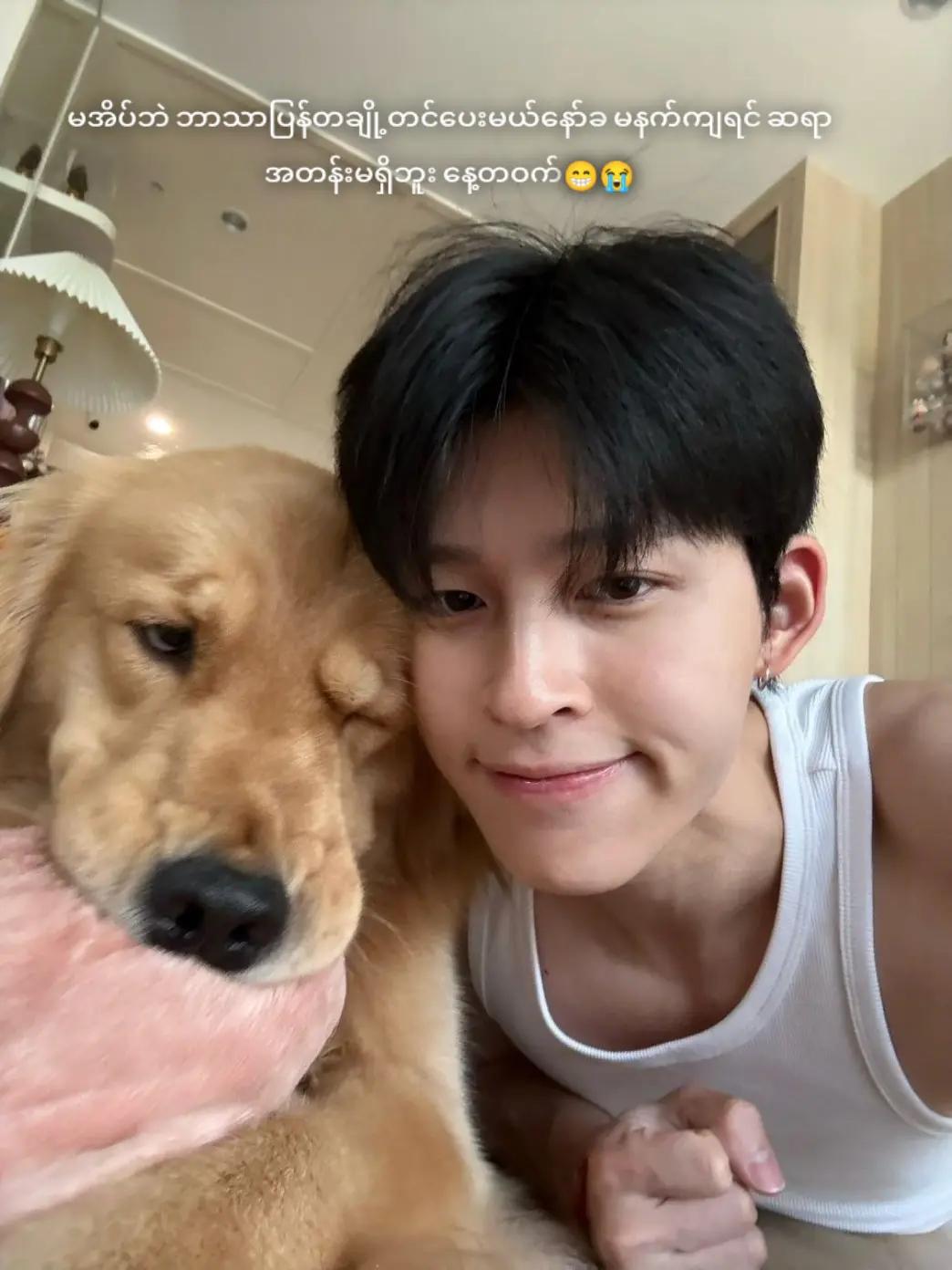 @PđPP Fan Accđ