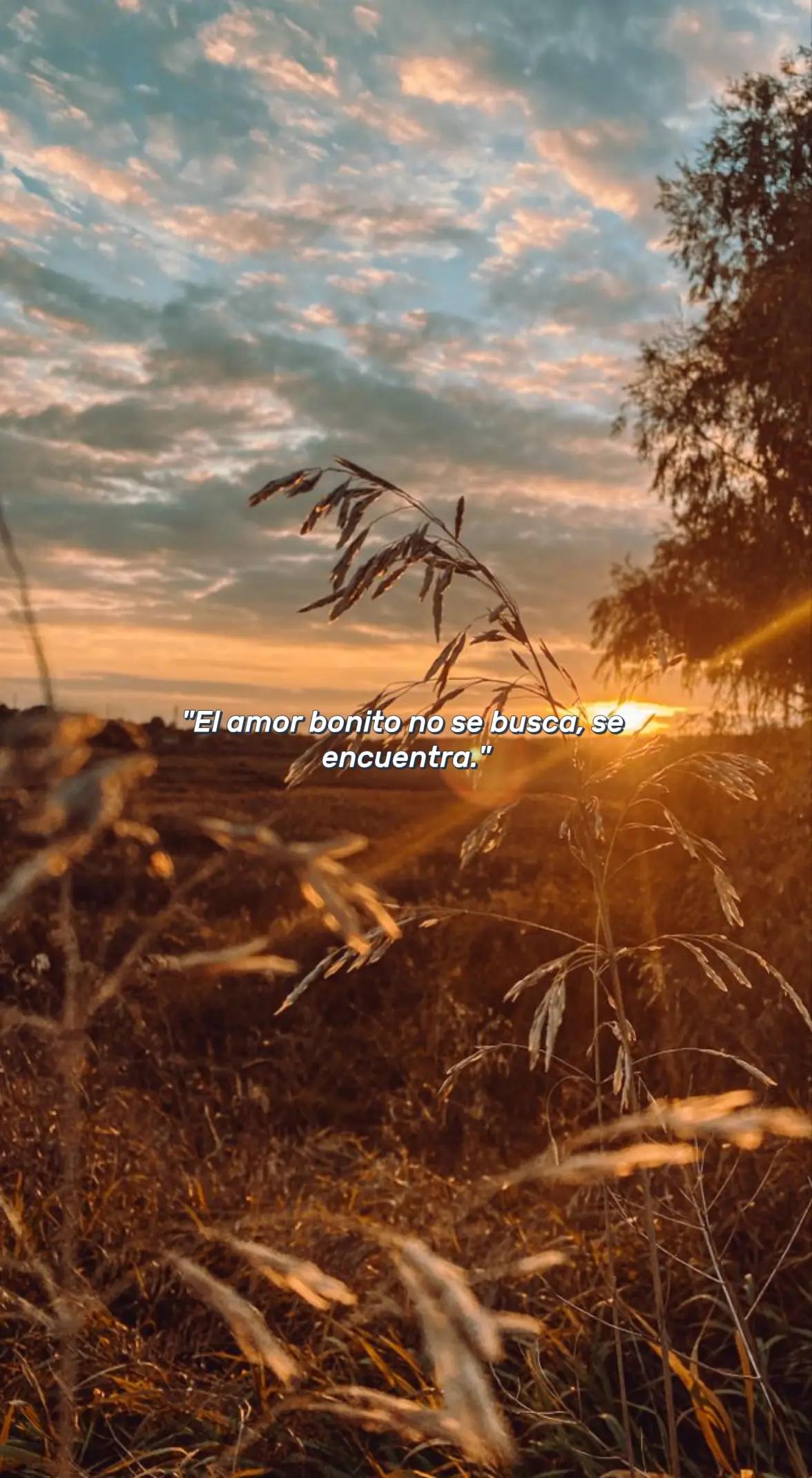 @Jeimy Reyes