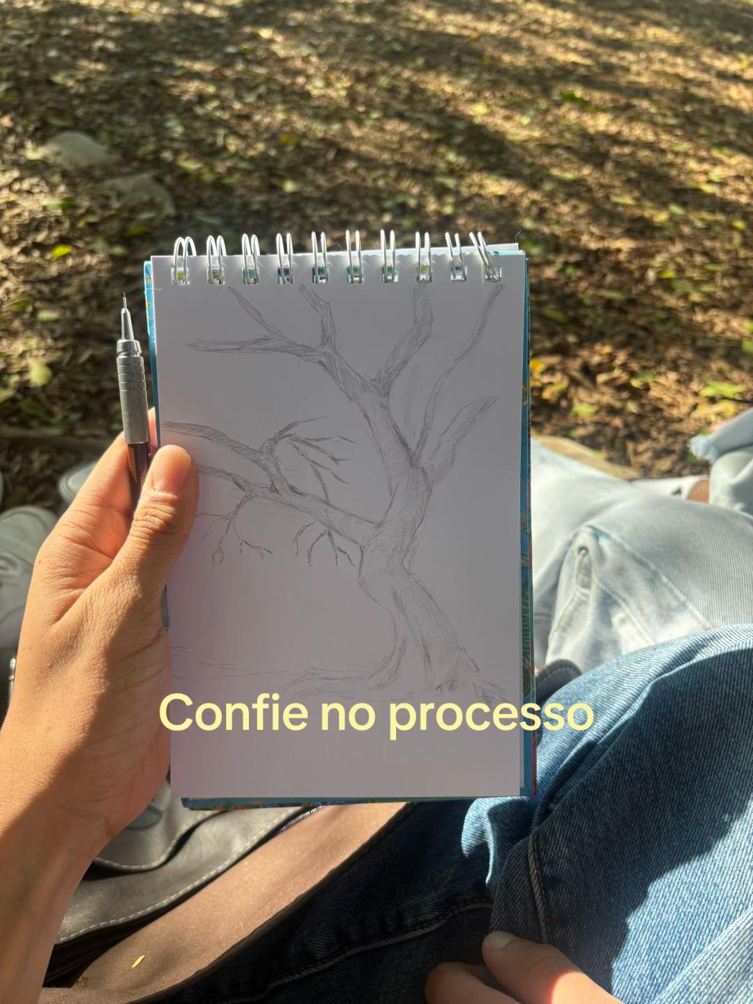 @macielopes_