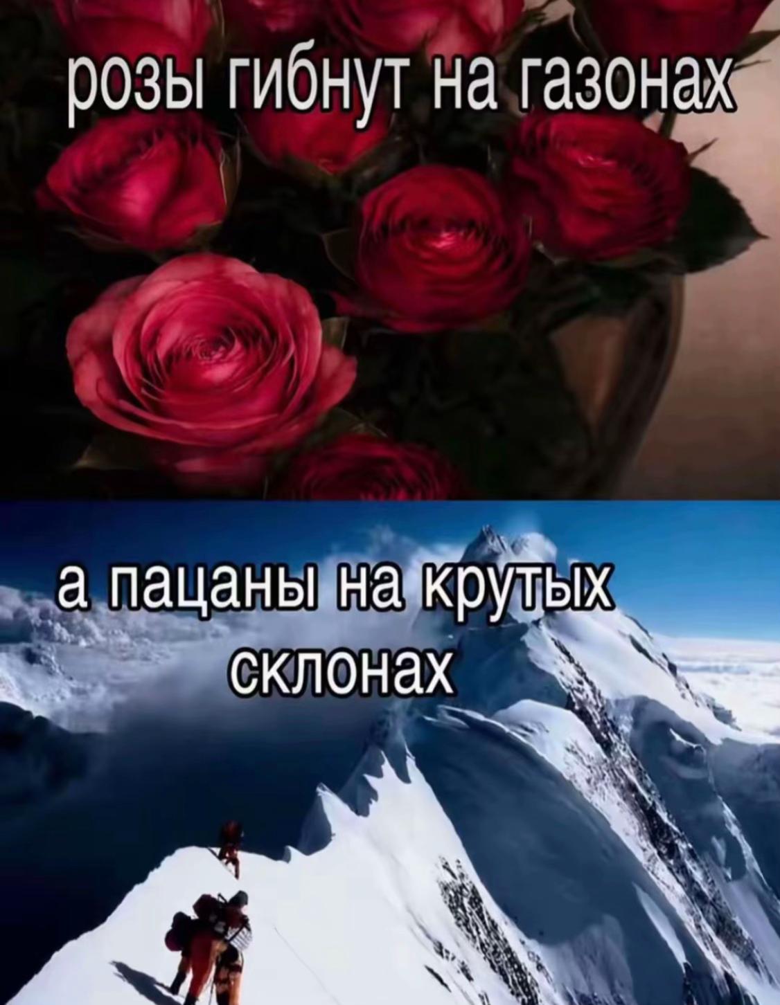 @danikpryanik