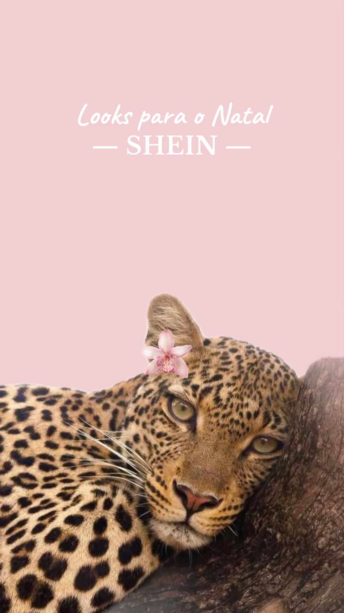 @Looks Girls ✨