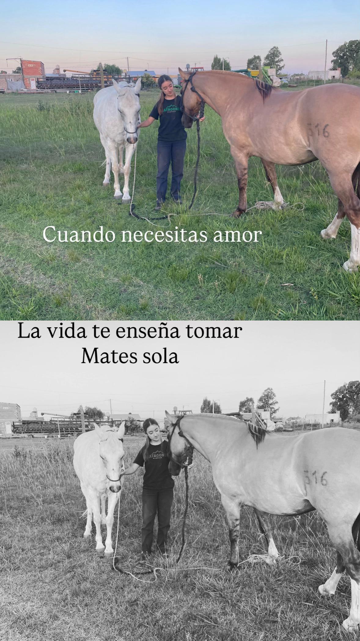 @MAFFIOLI MIA