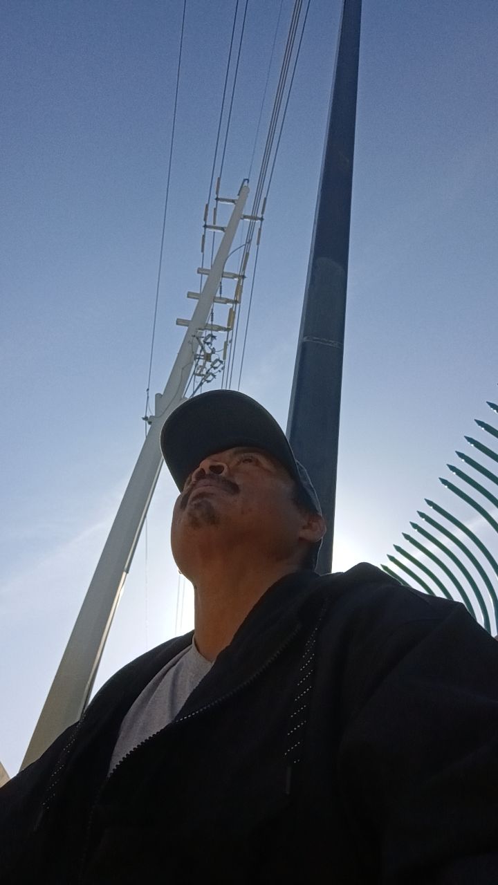 @&Eacute;L ca&iacute;do