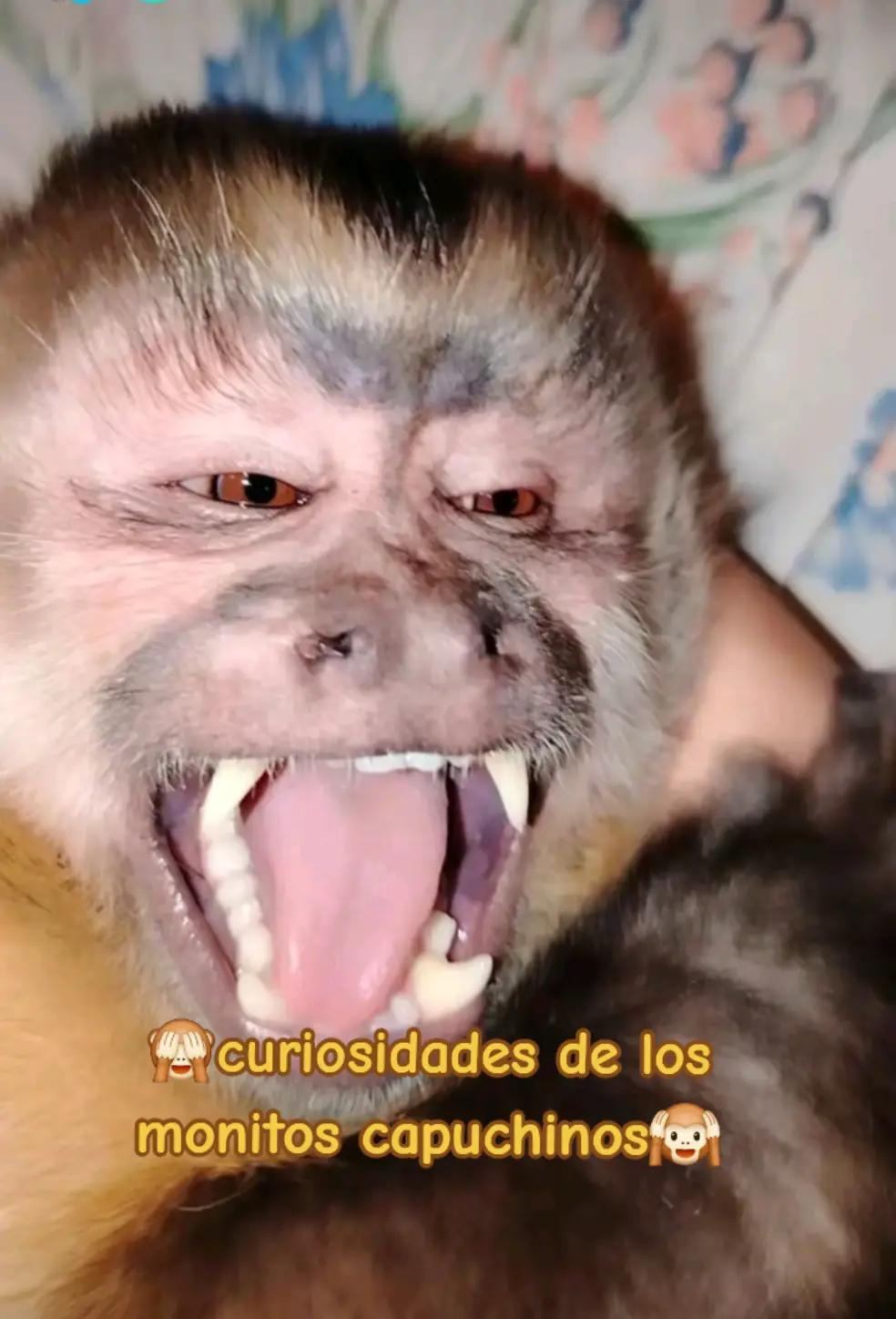 @ℙ𝕣𝕚𝕤𝕔𝕚𝕝𝕒🥰❤️🙉🙈🍌