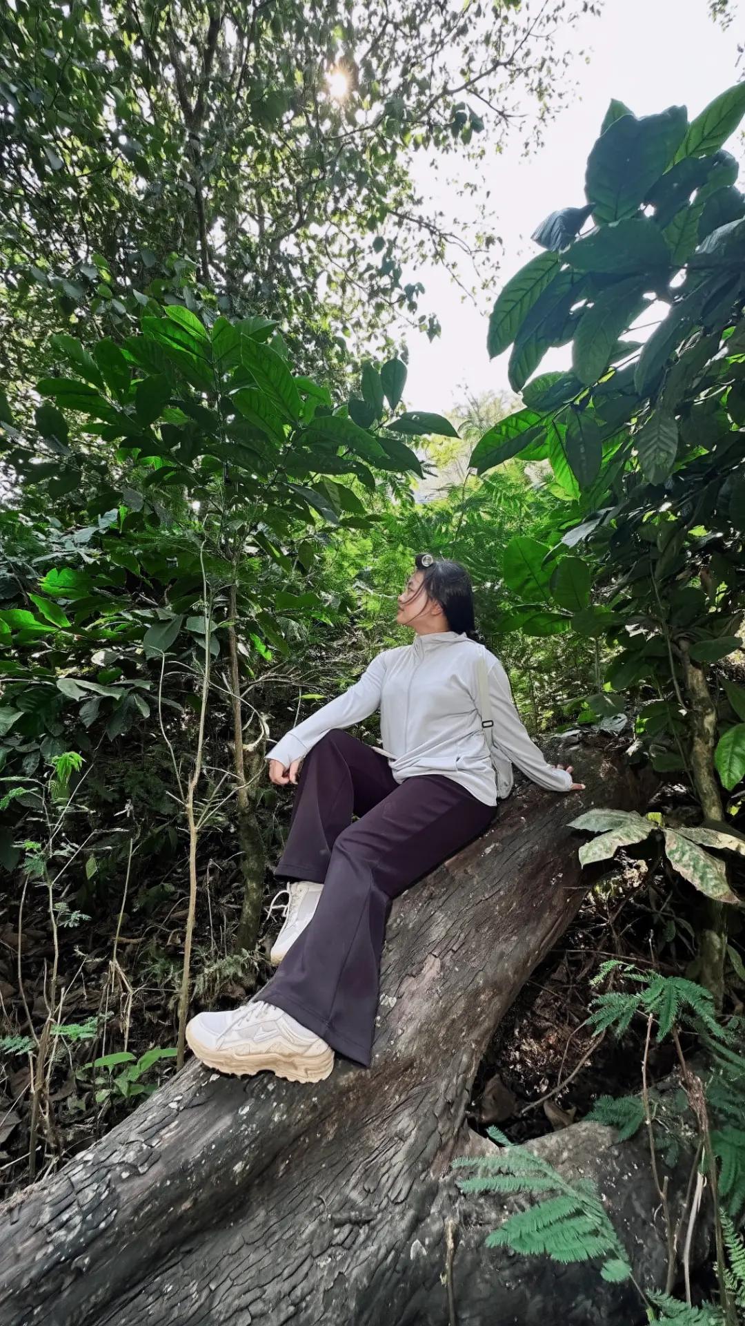 @อมีเลีย