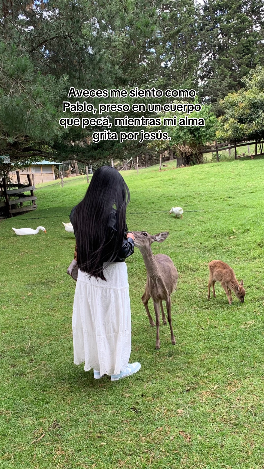 @𝓔𝓿𝓮𝓵𝔂𝓷🌷