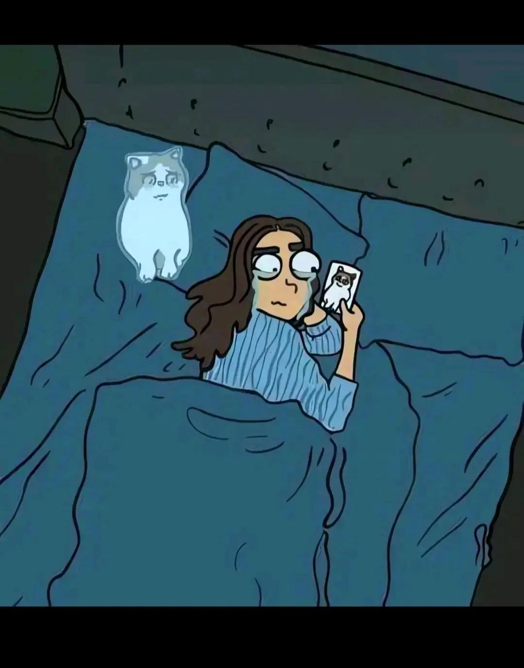 @🌙