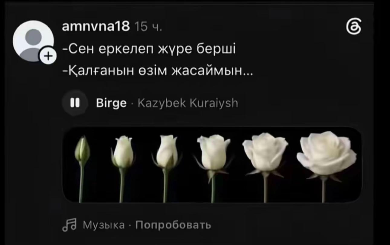 @nazuaisova