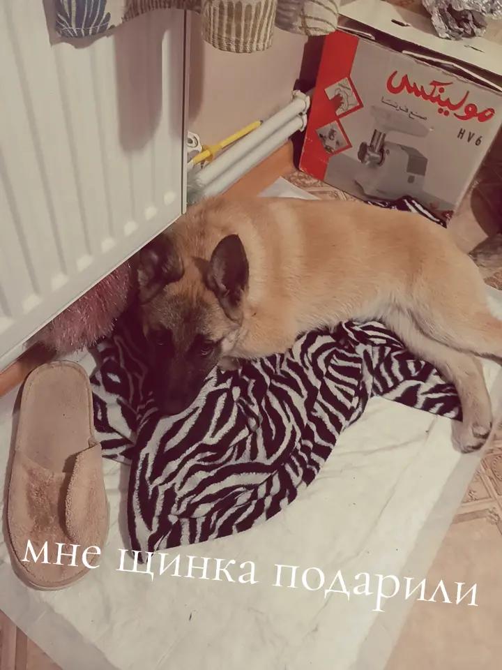 @๐๐๐๐๐๐๐_mix๐ญ๐ฃ