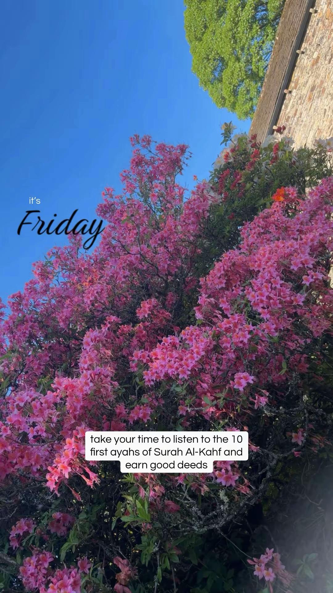 @سينا’🌸