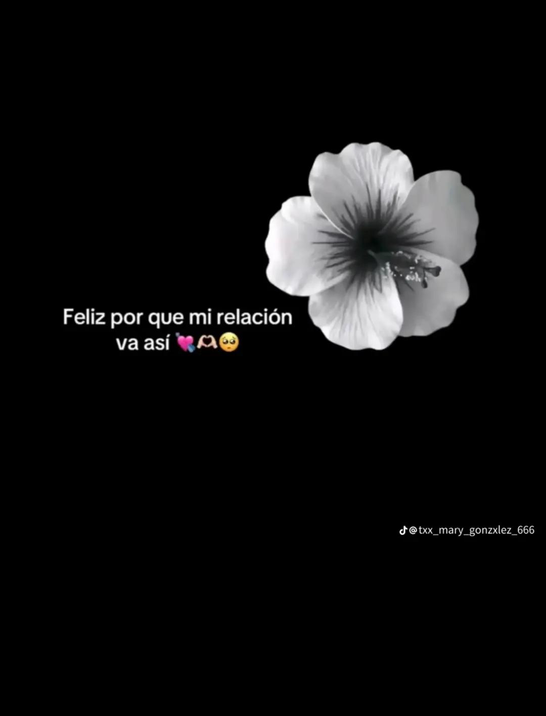 @🌷🍒🍓💗🤍