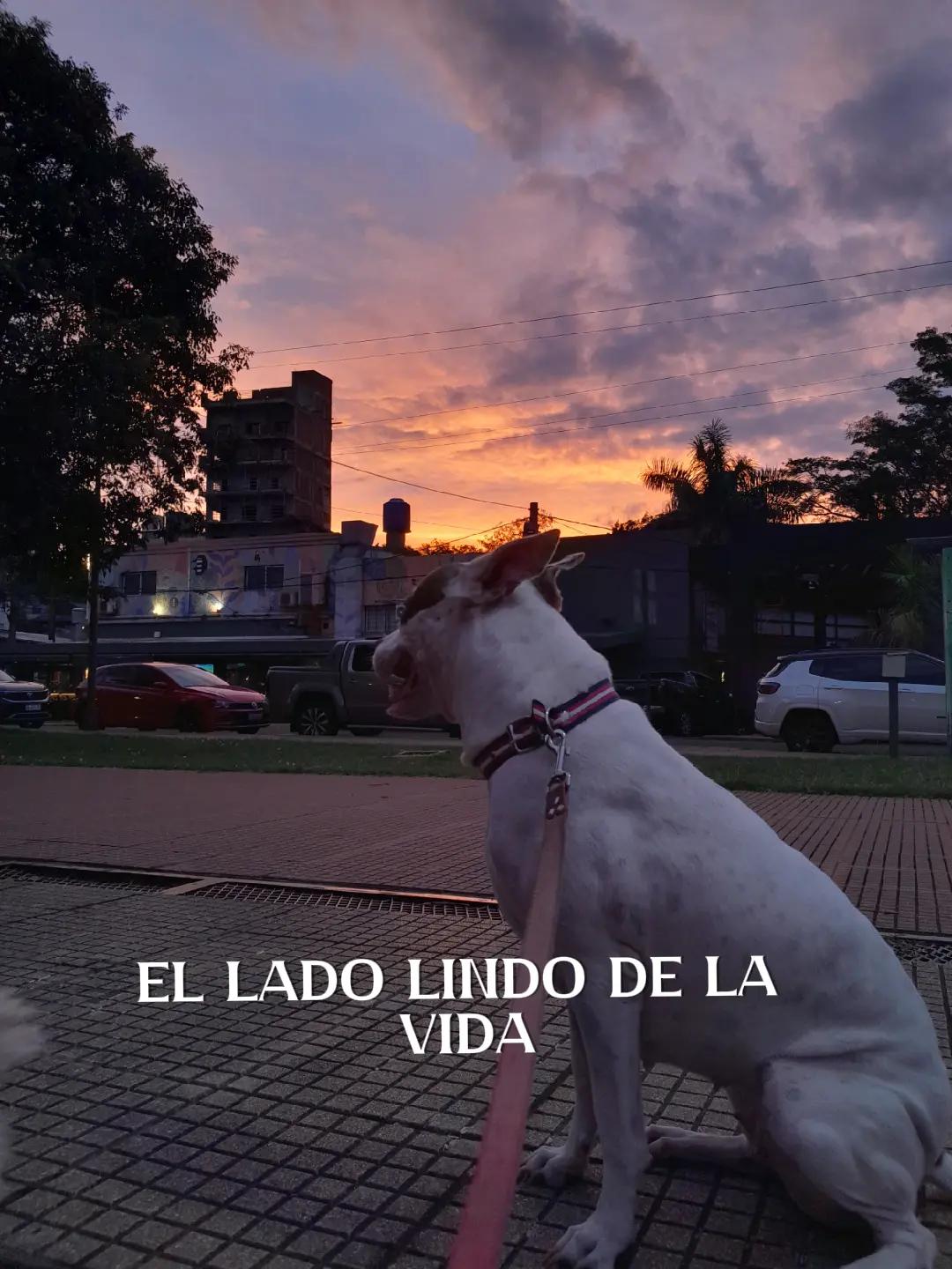 @Florcita🌺