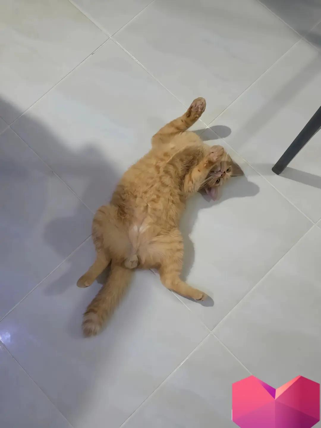 @ขอเวลาลืม เธอ