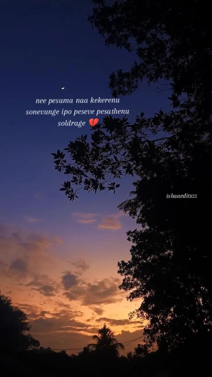 @_ℑ𝔰𝔥𝔞_❤️🩹