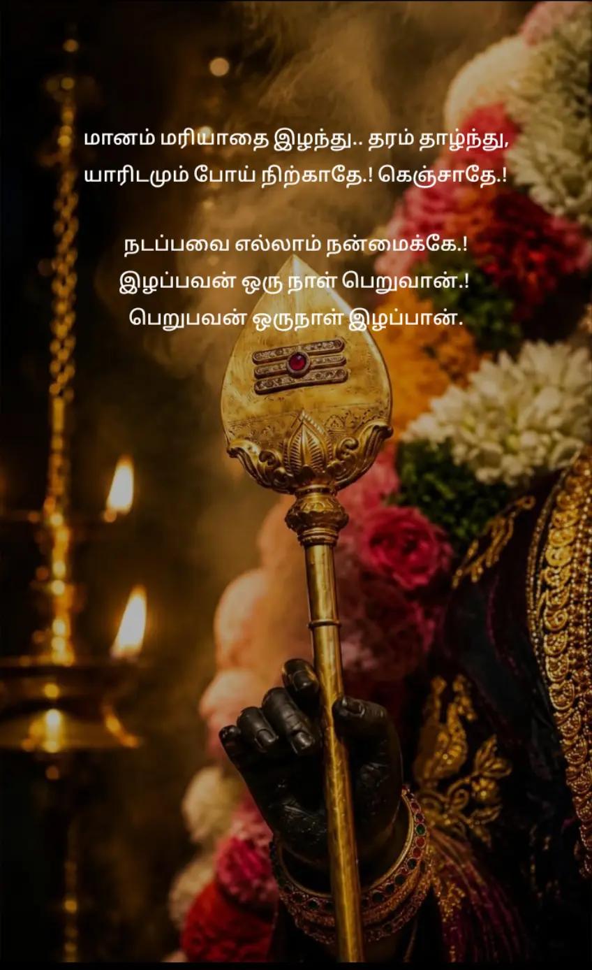 @🌜మెష్నాగా🌛